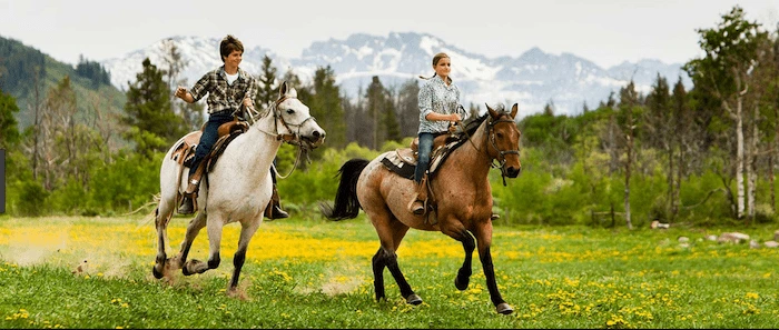 Confident plus-size woman riding Harlow a horse through a field with a smile on her face.